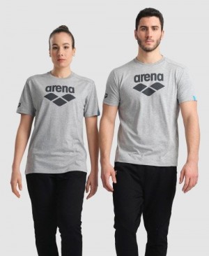 Arena Logo Cotton T-shirt Shorts Herr Grå | EADQHGR-21