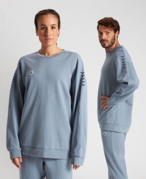 Arena Oversized Team Sweatshirt Tröjor Herr Grå Grå | YZXMOWL-48