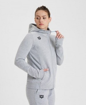 Arena Team Hooded Jacket Panel Jackor Dam Grå | KJUHQVA-37