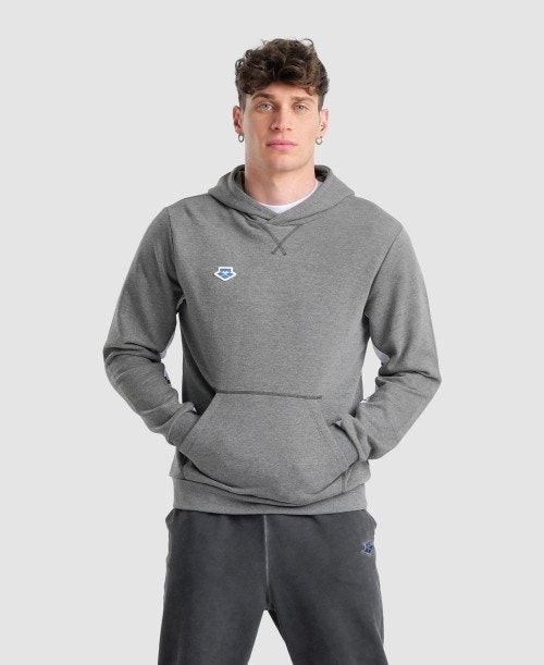 Arena Icons Solid Hooded Sweatshirt Tröjor Herr Vita Svarta | GSBFPWV-57