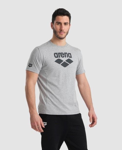 Arena Logo Cotton T-shirt Shorts Herr Grå | EADQHGR-21