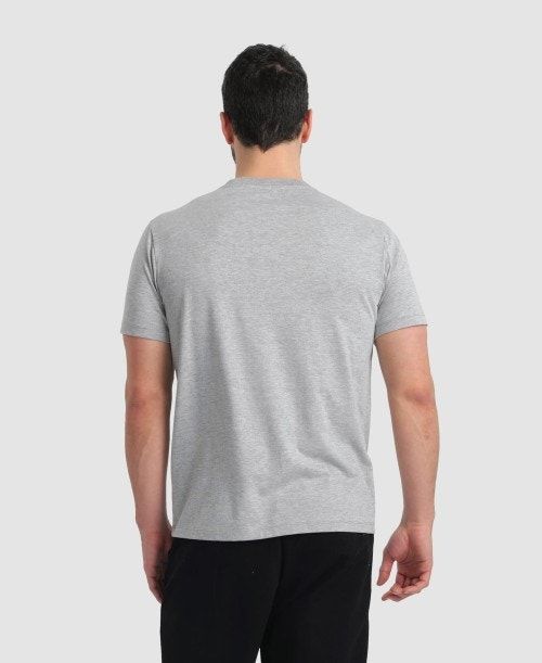 Arena Logo Cotton T-shirt Shorts Herr Grå | EADQHGR-21