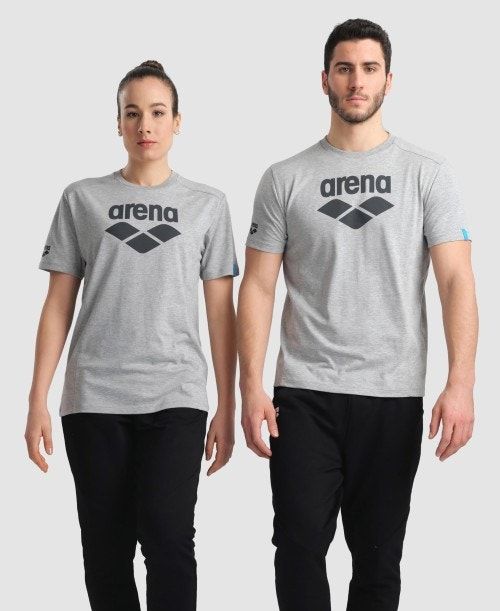 Arena Logo Cotton T-shirt Shorts Herr Grå | EADQHGR-21