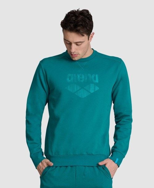 Arena Logo Crewneck Pullover Dam Gröna | RQSNUKO-69