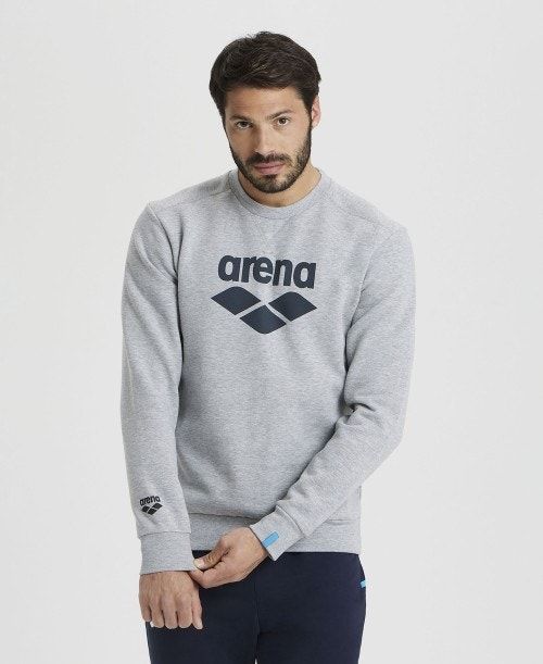 Arena Logo Crewneck Pullover Herr Grå | QCETHVG-54