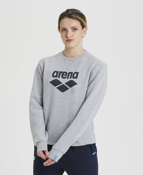 Arena Logo Crewneck Pullover Herr Grå | QCETHVG-54