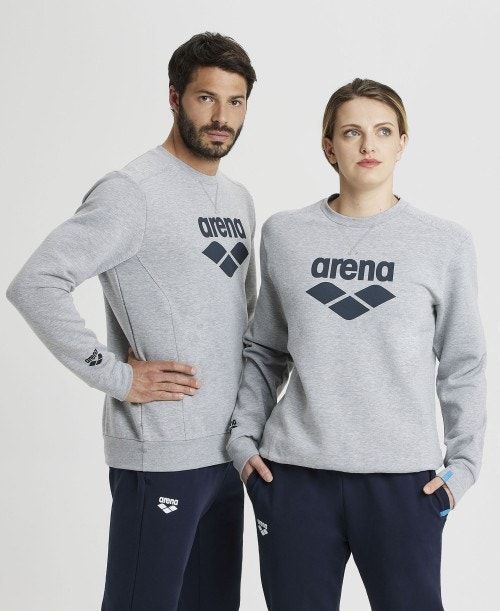 Arena Logo Crewneck Pullover Herr Grå | QCETHVG-54