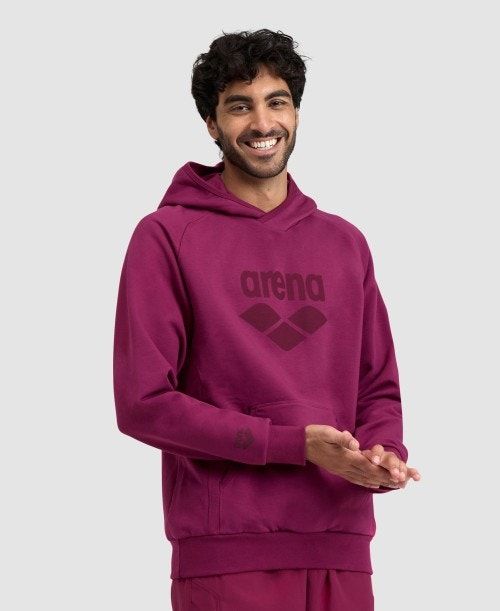 Arena Logo Hooded Sweatshirt Tröjor Dam Olika Färger | FHQIYNE-08