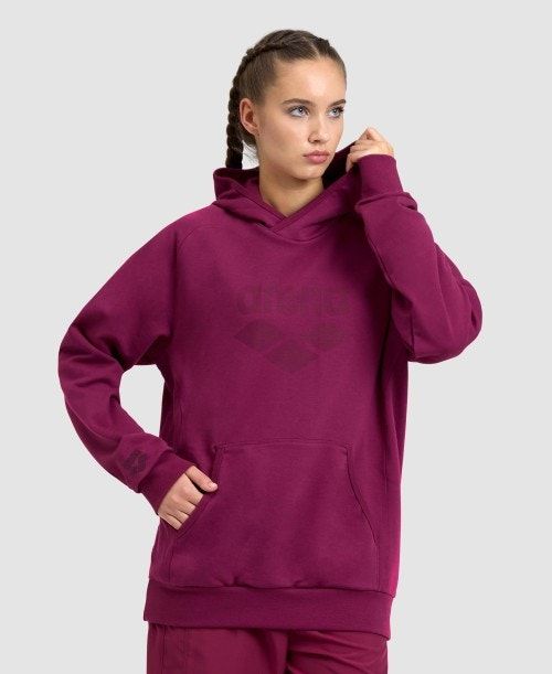 Arena Logo Hooded Sweatshirt Tröjor Dam Olika Färger | FHQIYNE-08