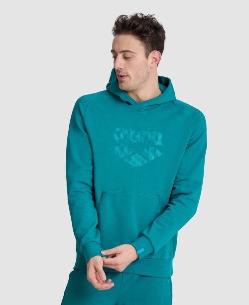 Arena Logo Hooded Sweatshirt Tröjor Dam Olika Färger | GPLCINO-41