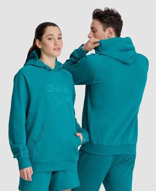 Arena Logo Hooded Sweatshirt Tröjor Dam Olika Färger | GPLCINO-41