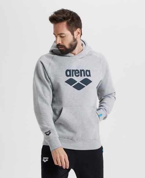 Arena Logo Hooded Sweatshirt Tröjor Herr Olika Färger | APEMIZQ-01