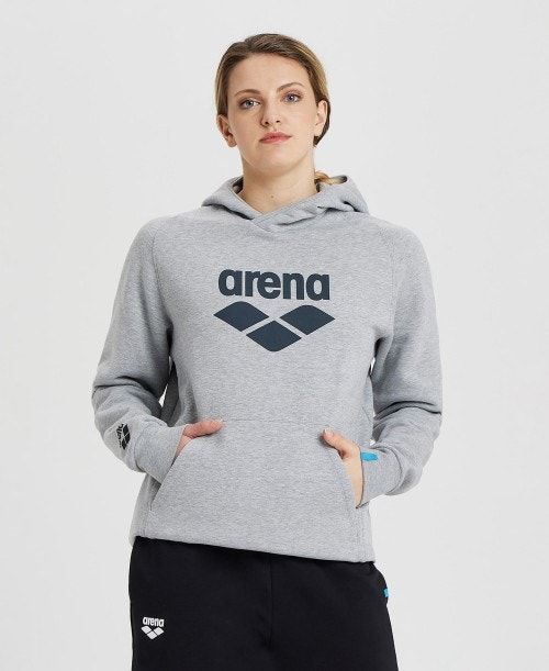 Arena Logo Hooded Sweatshirt Tröjor Herr Olika Färger | APEMIZQ-01