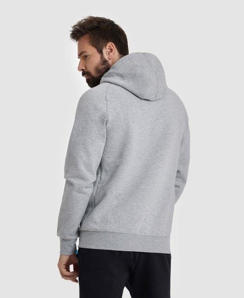 Arena Logo Hooded Sweatshirt Tröjor Herr Olika Färger | APEMIZQ-01