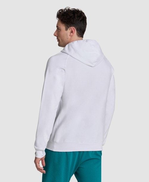 Arena Planet Water Hooded Sweat Tröjor Herr Olika Färger | YIQHJUZ-92