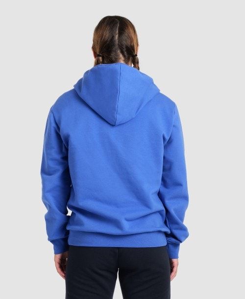 Arena Team Hooded Jacket Panel Jackor Herr Kungsblått | OFPTKZC-20