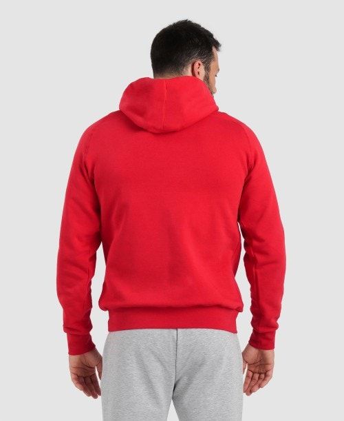 Arena Team Hooded Sweatshirt Panel Tröjor Dam Röda | SQEGWNV-62