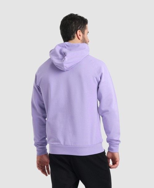 Arena Team Hooded Sweatshirt Panel Tröjor Dam Olika Färger | UZODCXA-80