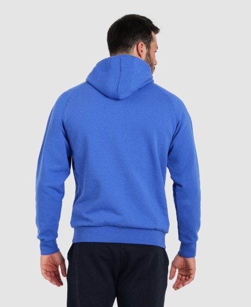 Arena Team Hooded Sweatshirt Panel Tröjor Dam Kungsblått | VUJFEMK-31