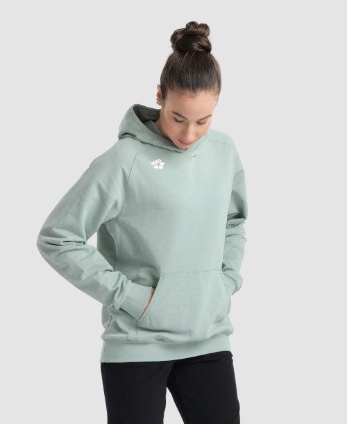 Arena Team Hooded Sweatshirt Panel Tröjor Dam Olika Färger | EGKRPXL-91