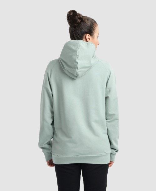 Arena Team Hooded Sweatshirt Panel Tröjor Dam Olika Färger | EGKRPXL-91