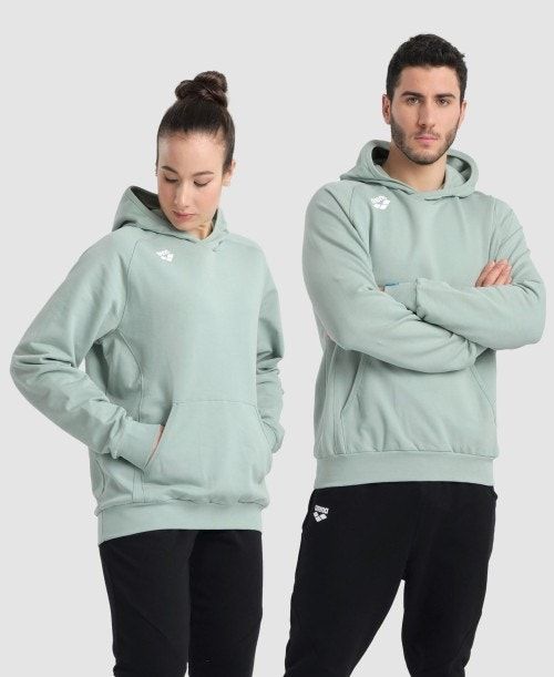 Arena Team Hooded Sweatshirt Panel Tröjor Dam Olika Färger | EGKRPXL-91