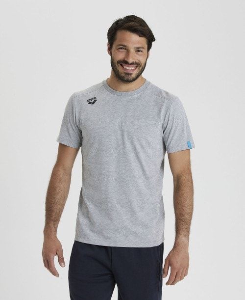 Arena Team T-shirt Panel Shorts Herr Grå | FZSWBNX-46